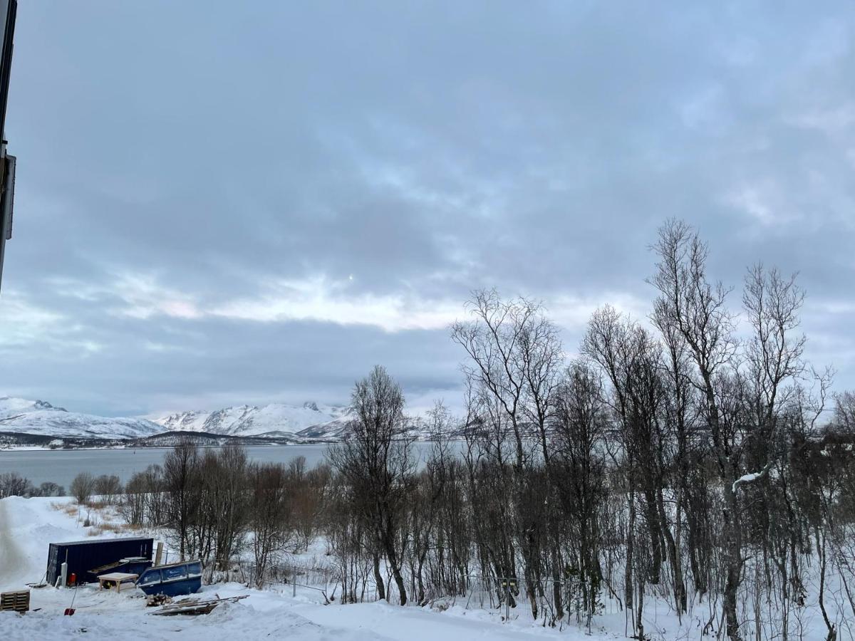 New Modern Apartment - Tromso West Bagian luar foto